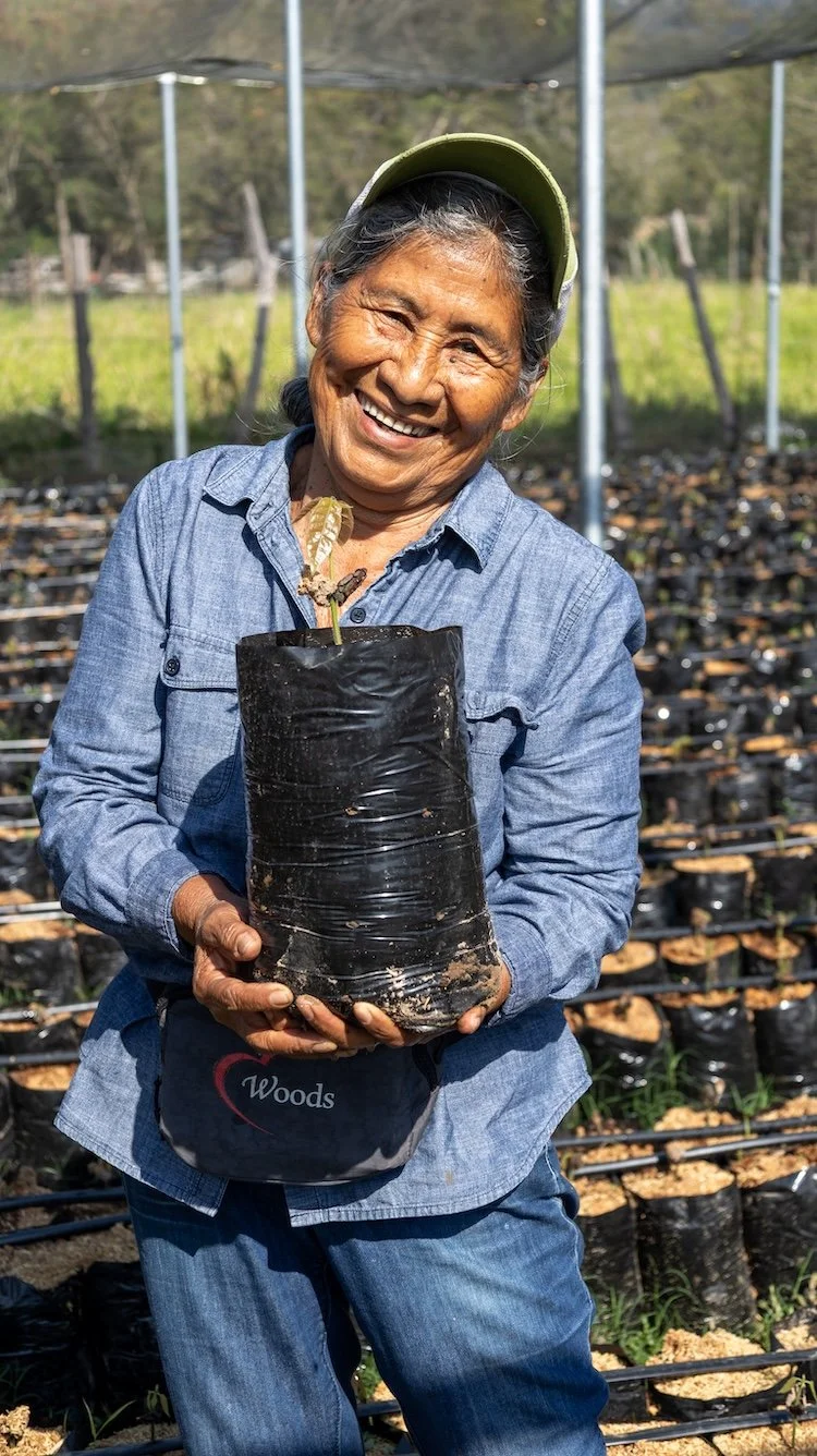 Smiling woman holding a young tree seedling in a nursery filled with rows of plants prepared for reforestation