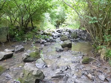 PoseyCreek3.jpg