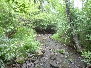PoseyCreek4.jpg