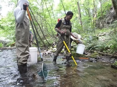 FightingCreek7.jpg