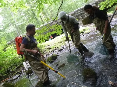 FightingCreek2.jpg