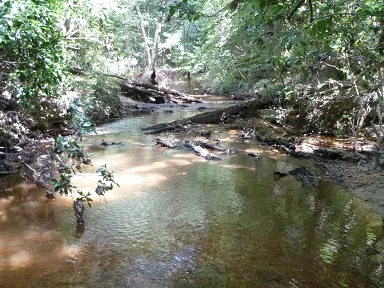 MayfieldCreek2.jpg