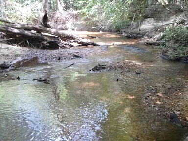 MayfieldCreek3.jpg