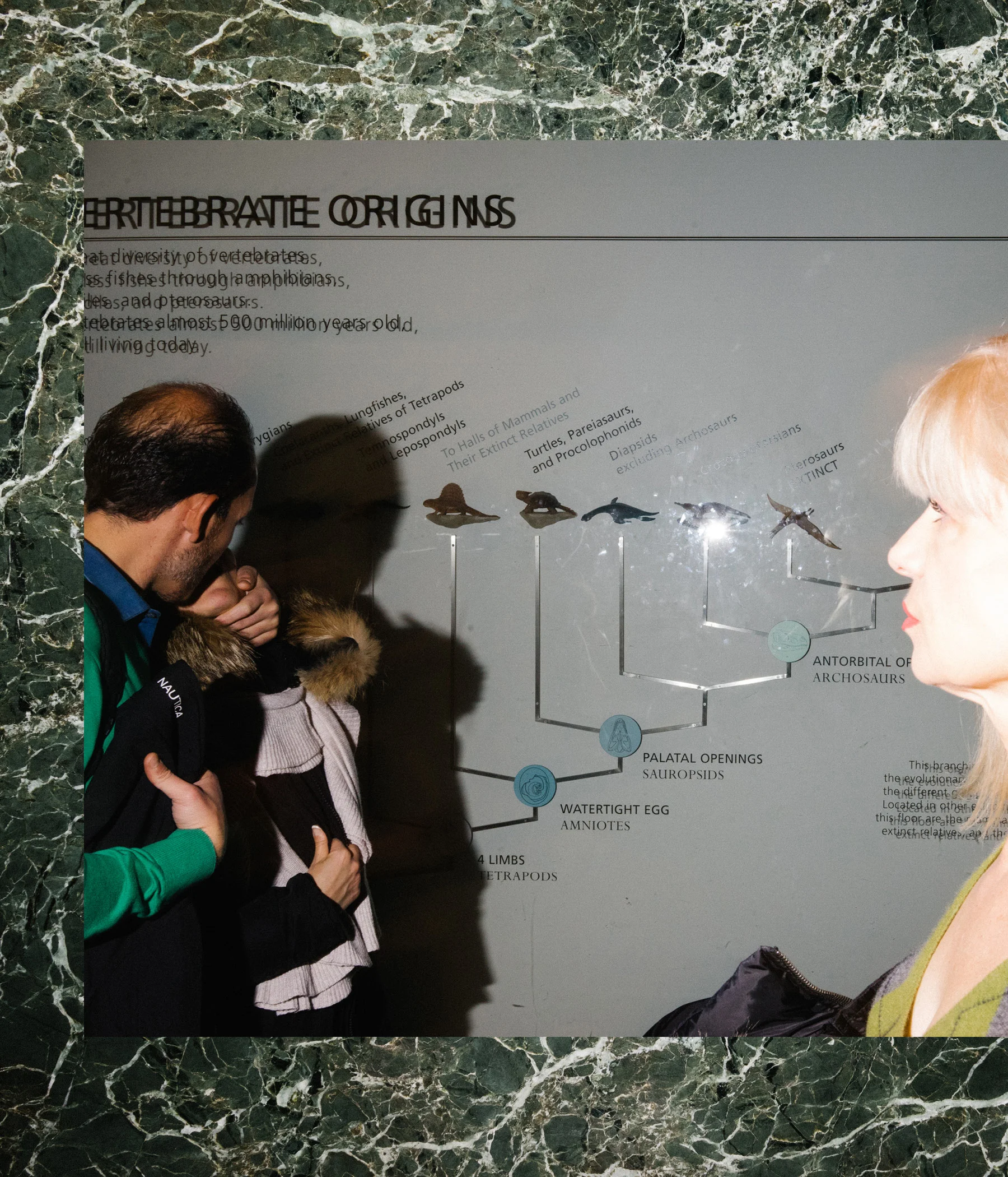 Unnatural History 9x77_0000_Layer 1.jpg