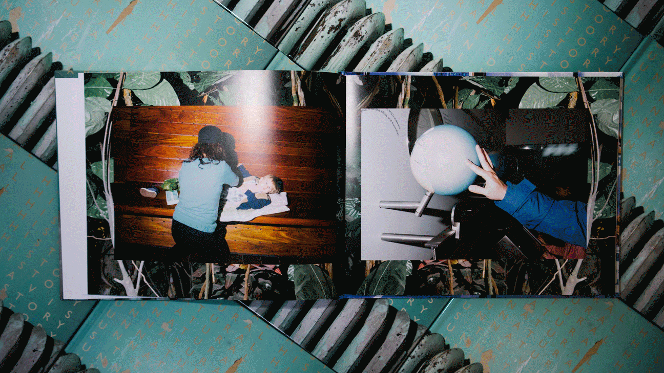 Pages.gif