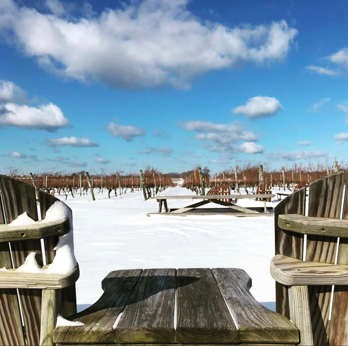 snow chaiiiirrrrrrrrzzzzzzzzzzzzzzzzzzzzzzzzzzzzzz.JPG