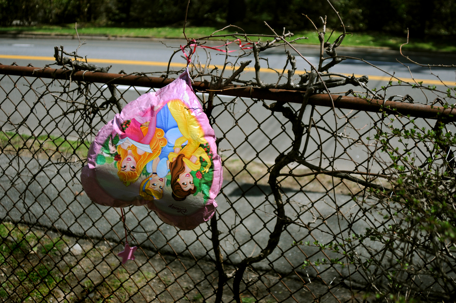   Pretty Please  Roadside Attraction   Statement  