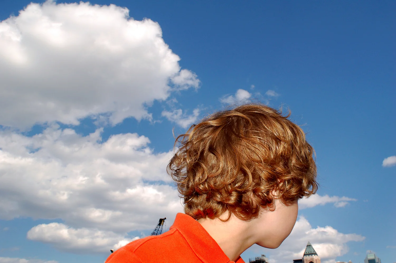   Lush Light  Locks   Statement  