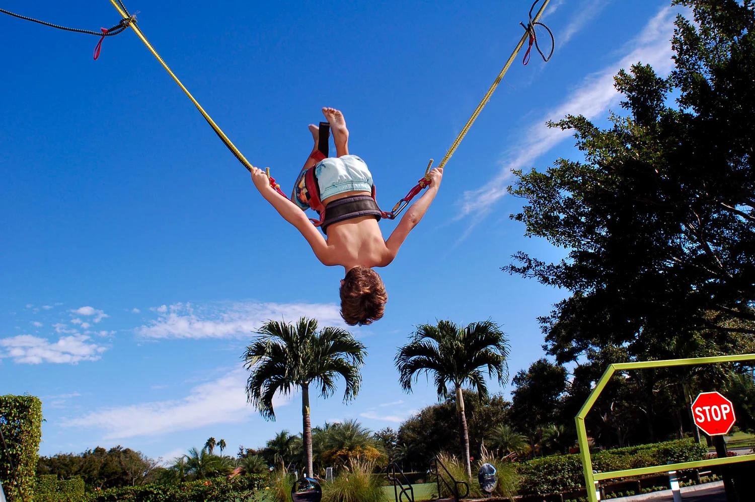   Lush Light  Go   Statement  