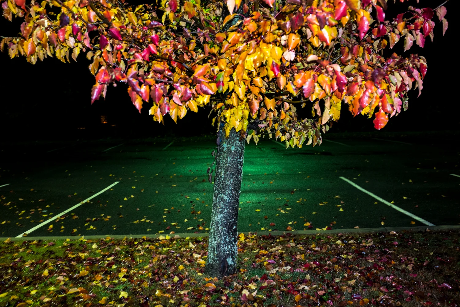   Drift  Transition   Statement  