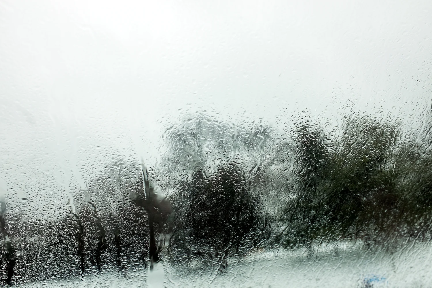   Drift  Blur   Statement  