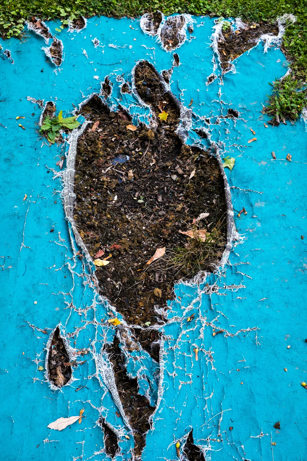   Drift  Terra Firma   Statement  