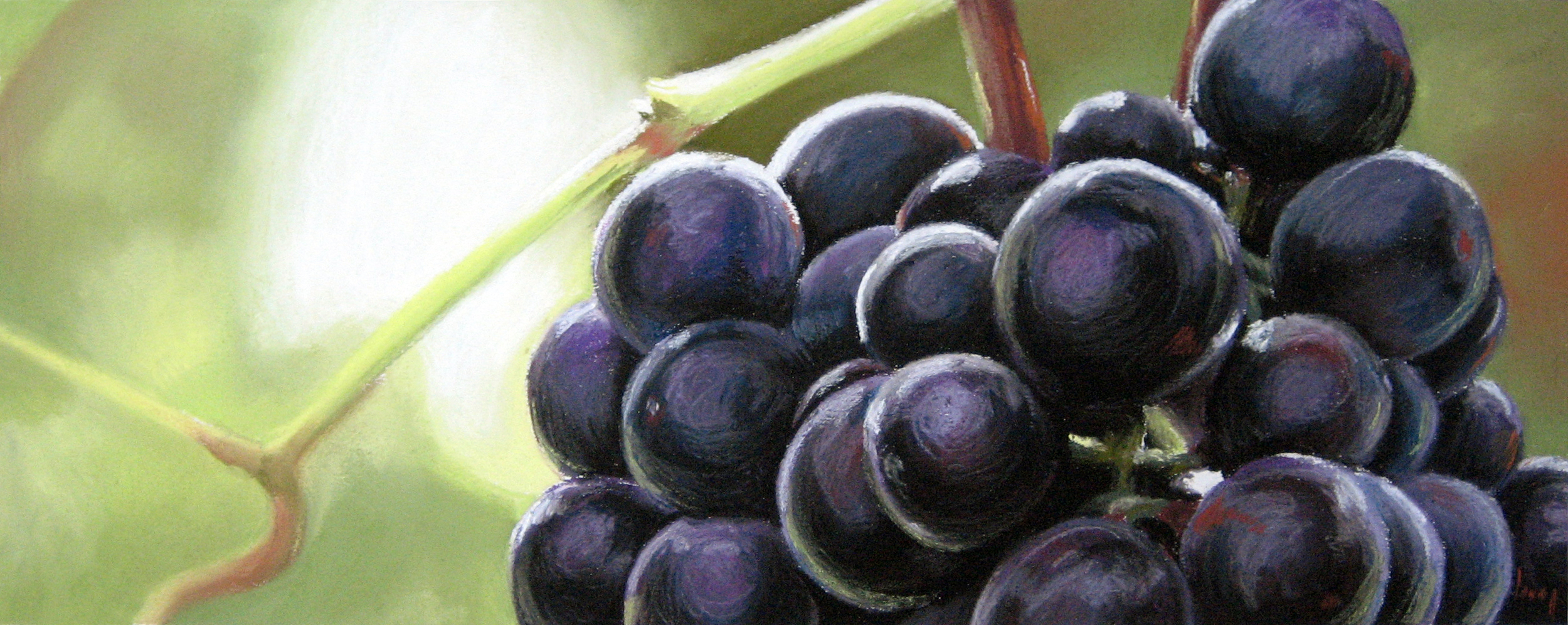 Purple Grapes, 2007