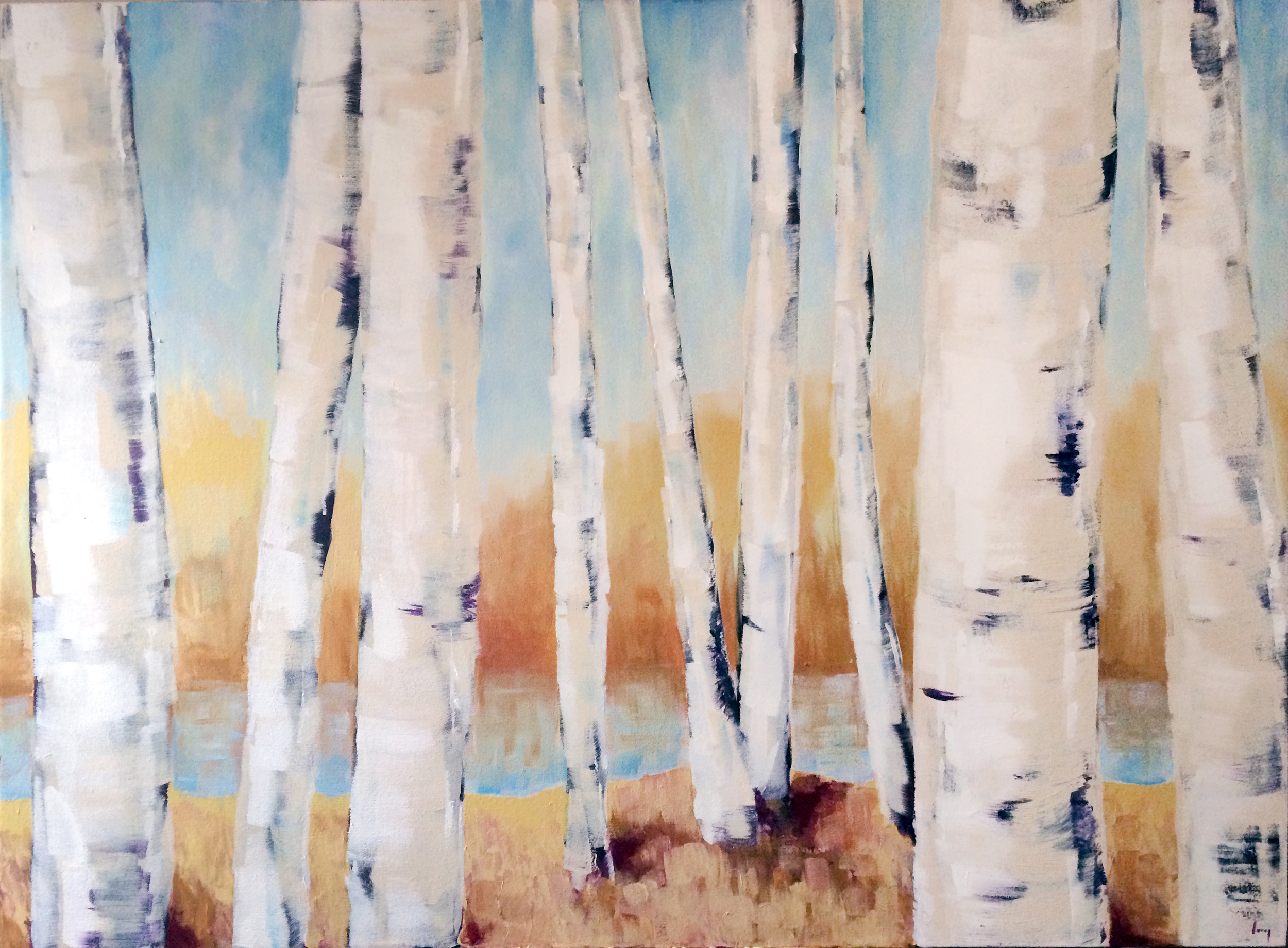 Birch Trees, 2014