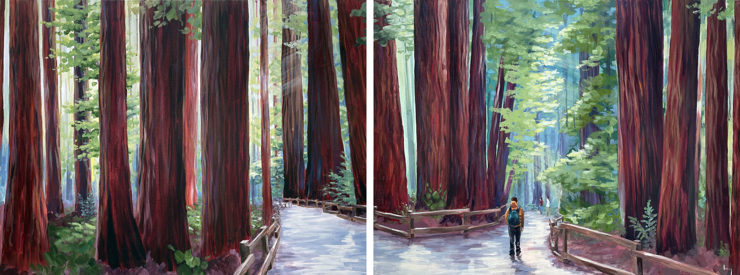 Redwoods, 2021