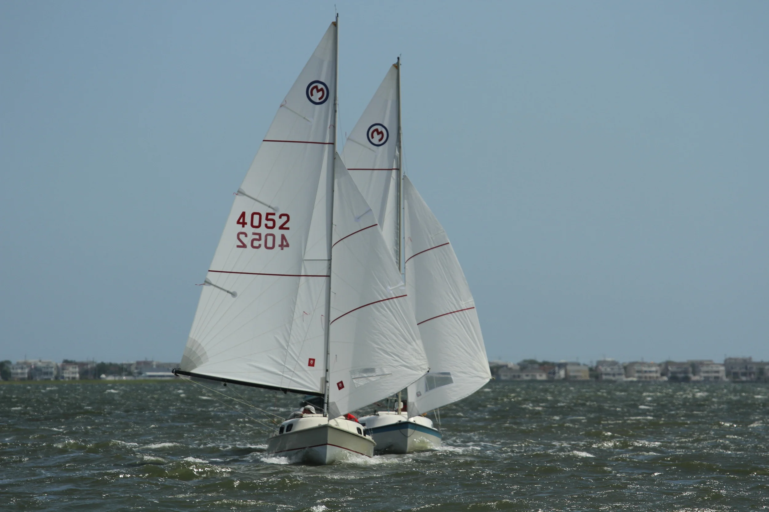 IMG_1259.JPG