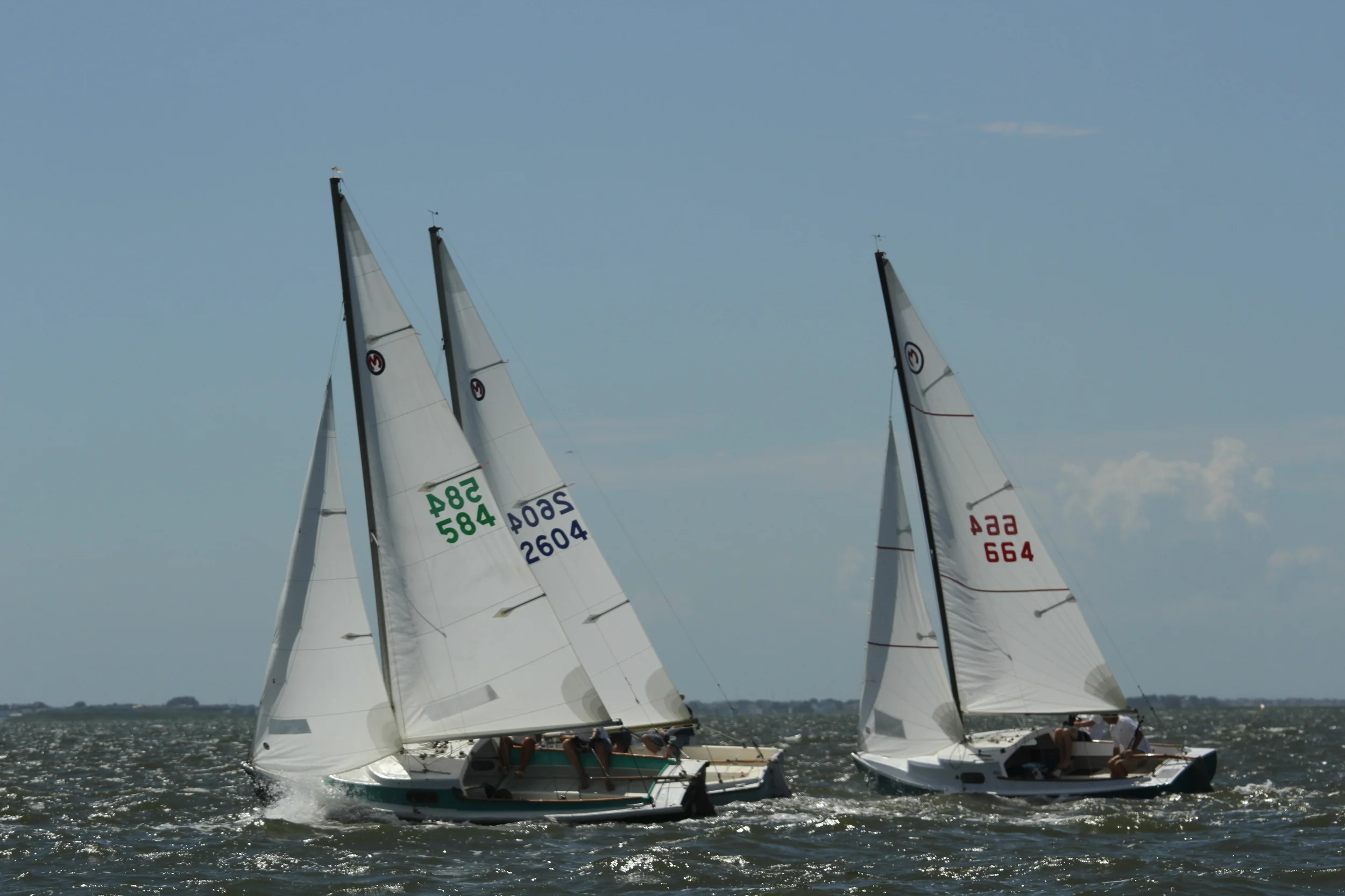 IMG_1217.JPG