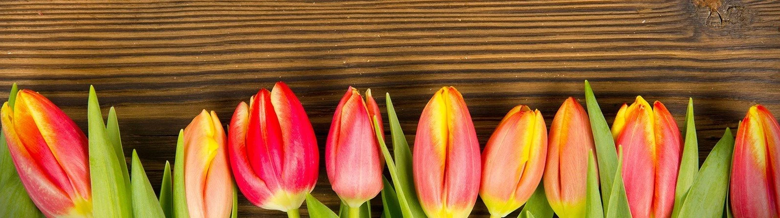 June Socials no title.jpeg