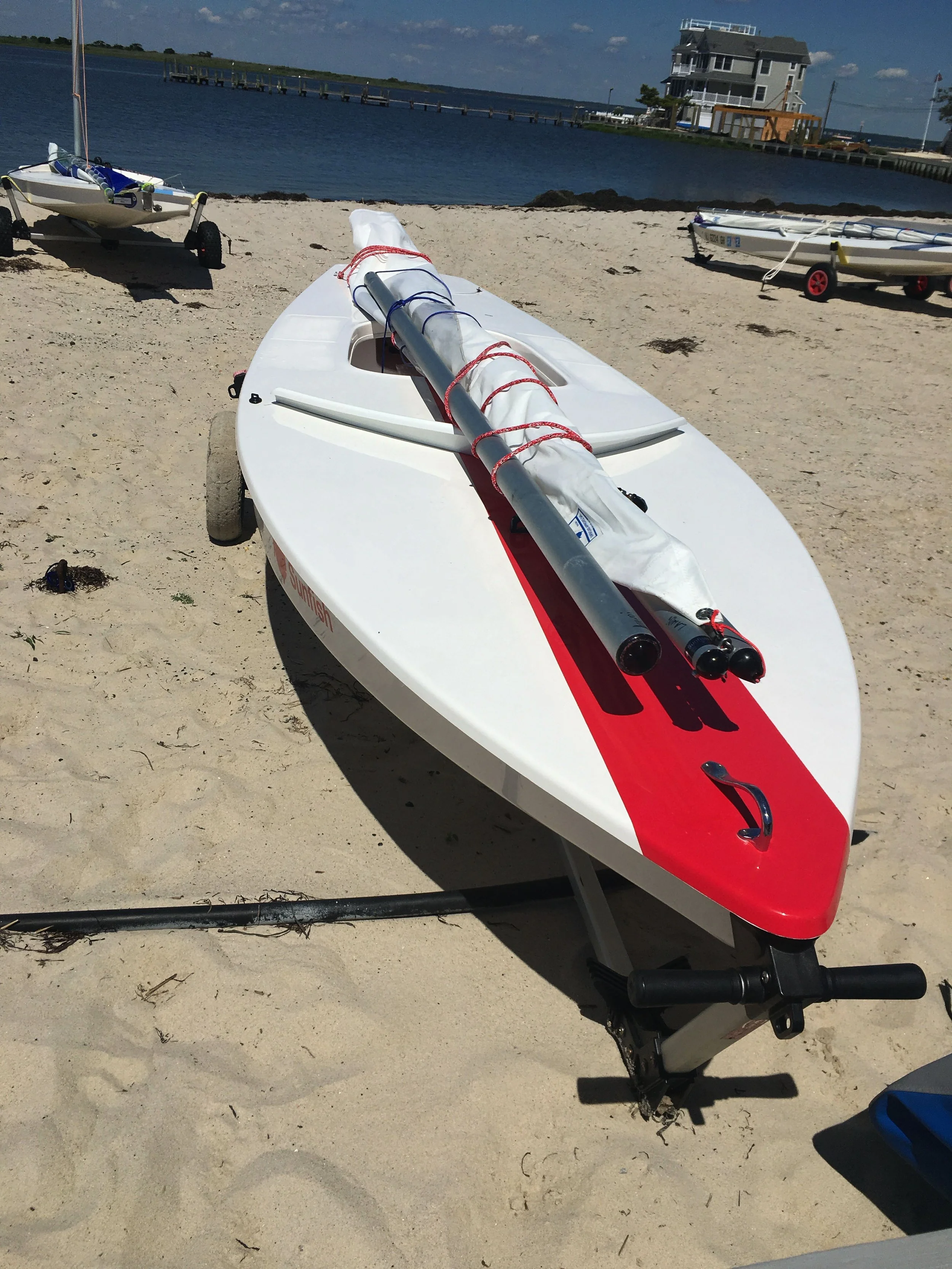 sunfish2.jpg