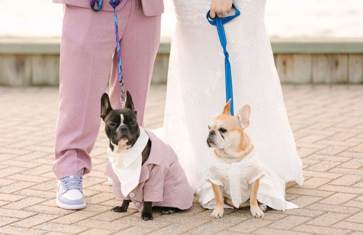 Screenshot 2026-01-15 132328.jpg