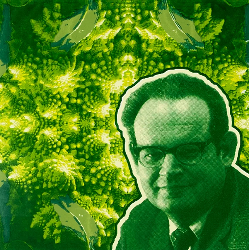 Mandelbroccoli Detail.jpg