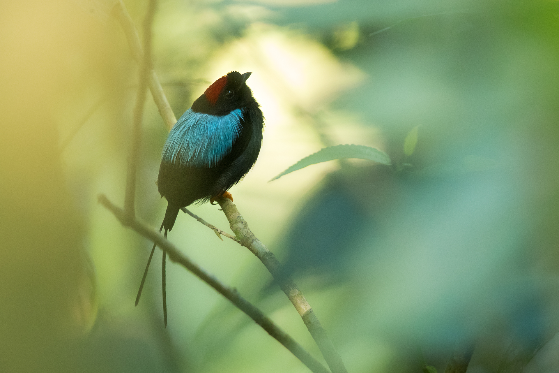 _78I6900-2-Edit.jpg