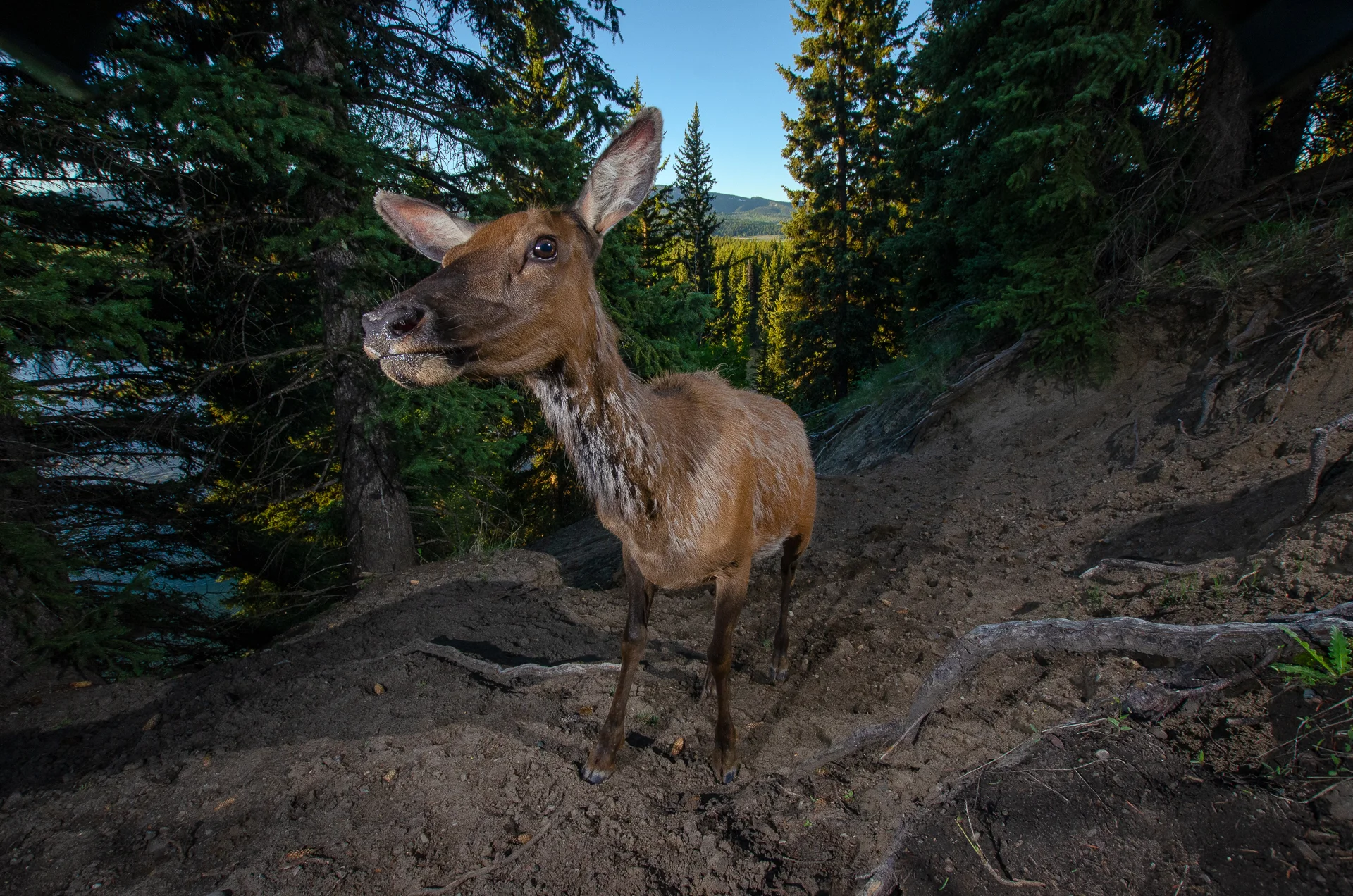 _DSC7666.jpg