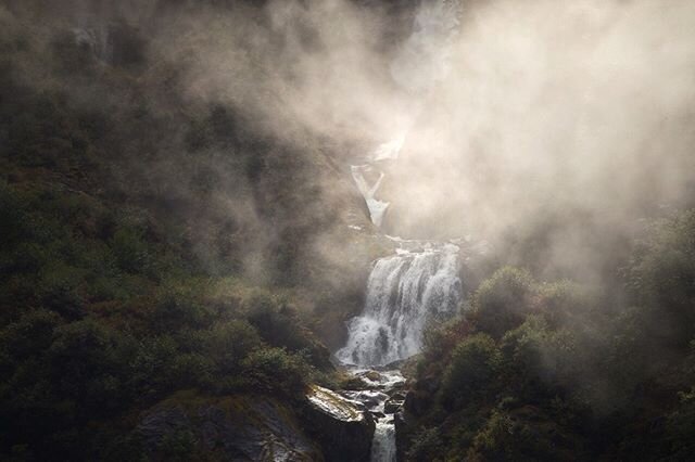 A storm causes the sudden appearance of waterfalls flowing off a steep granite wall in the Great Bear Rainforest