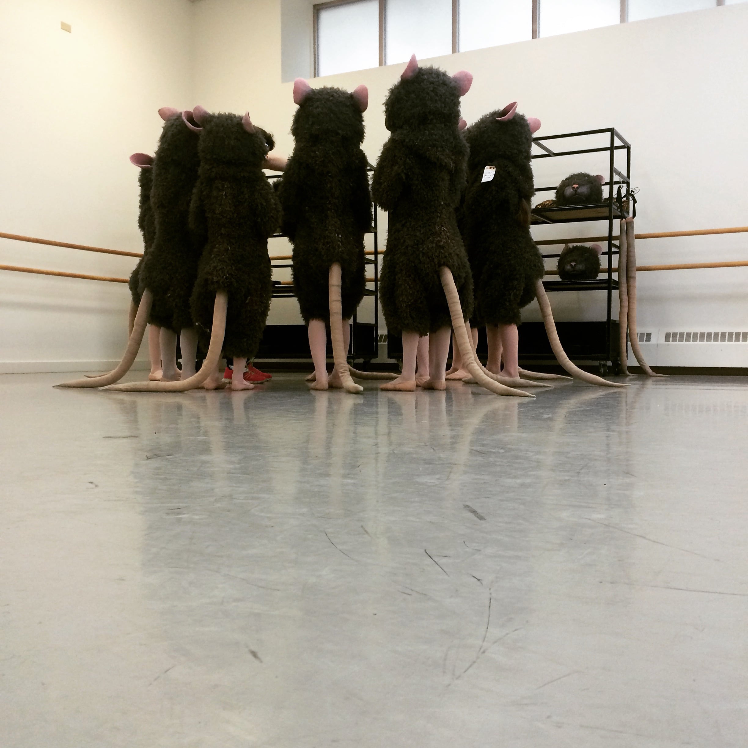 'NUTCRACKER' fittings // Boston Ballet