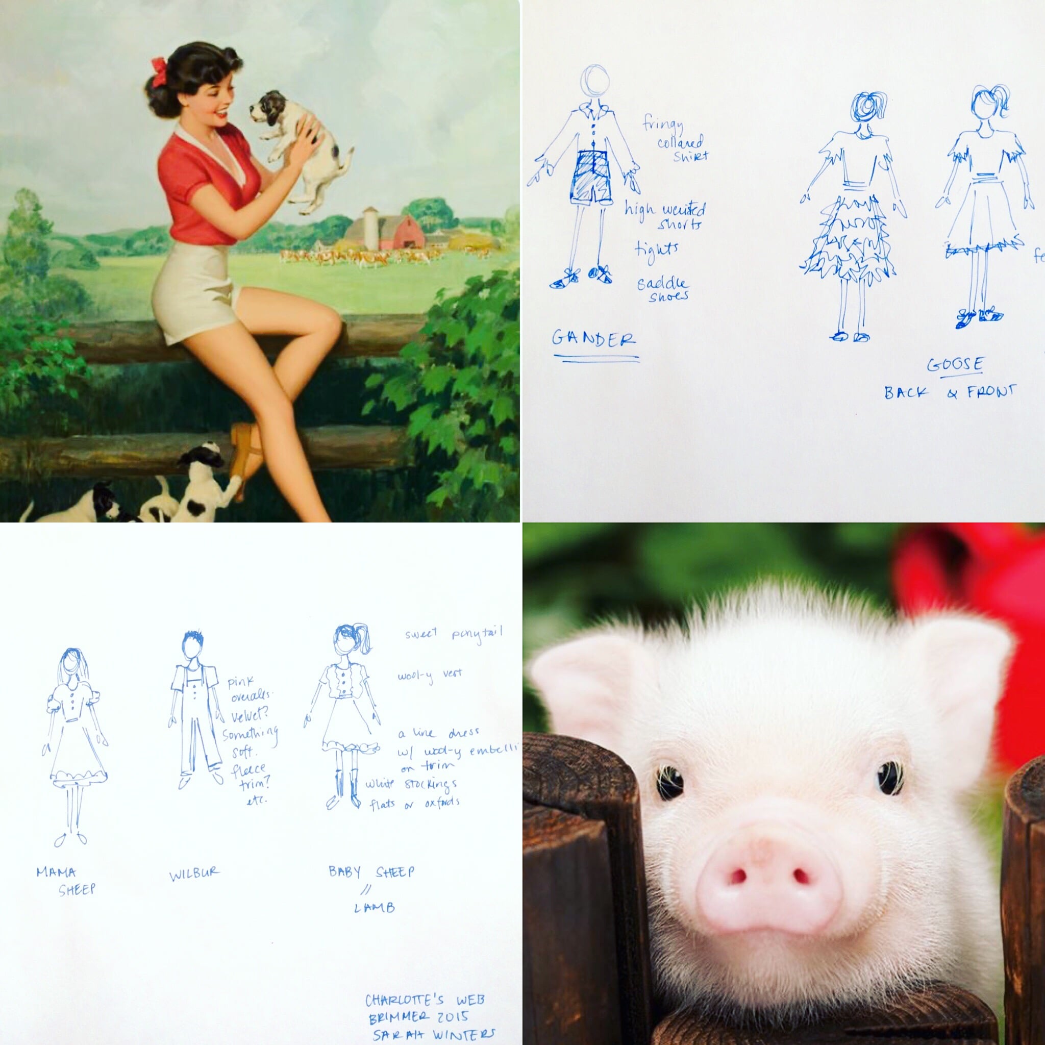 'CHARLOTTE'S WEB' research & renderings