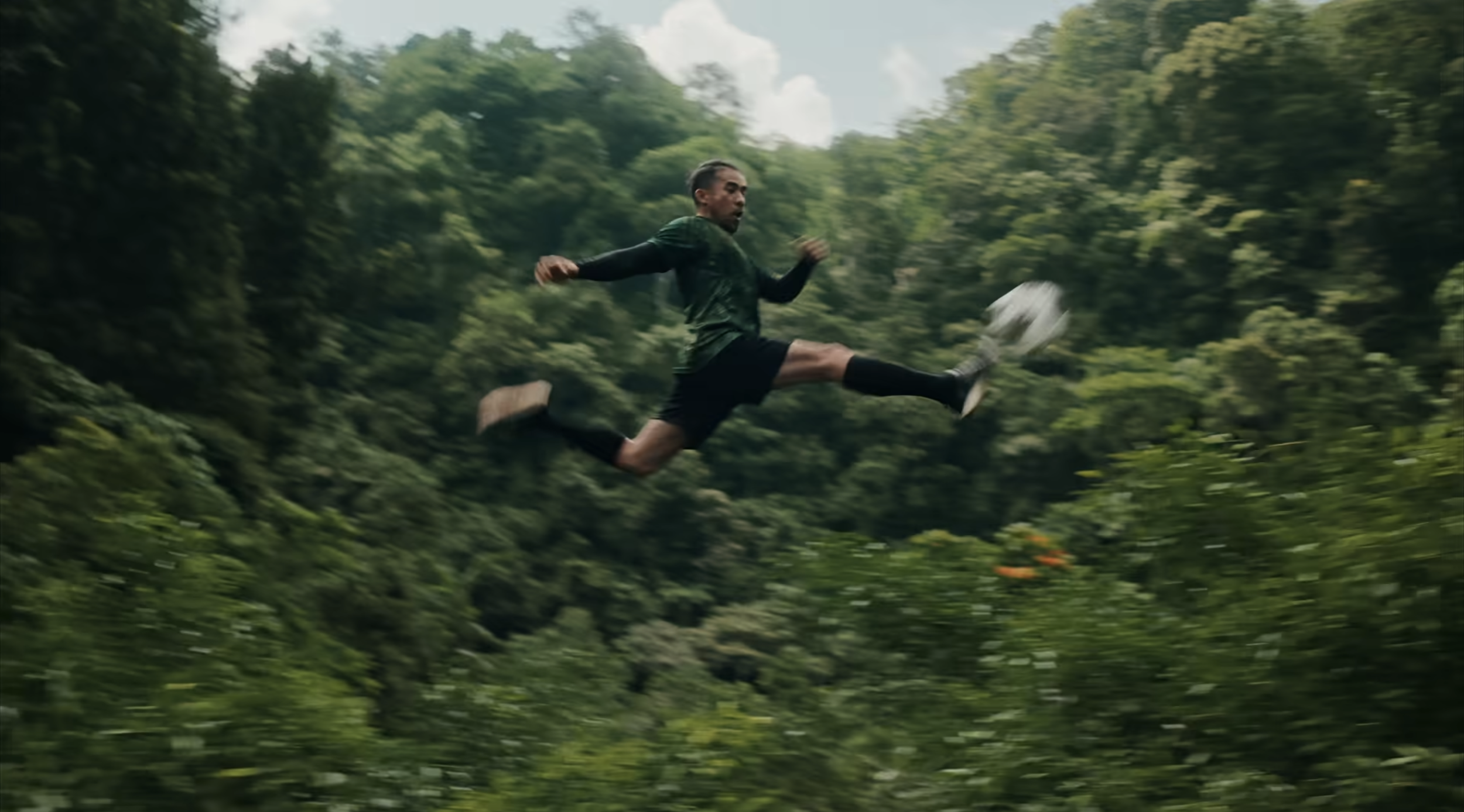 TEAM FOREST | WWF