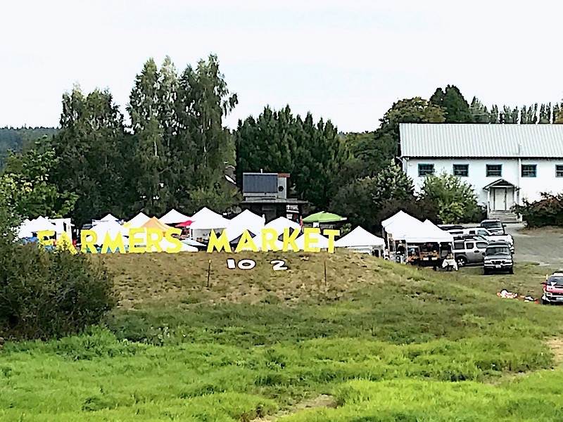 Treatmo_FarmersMarket1.jpeg