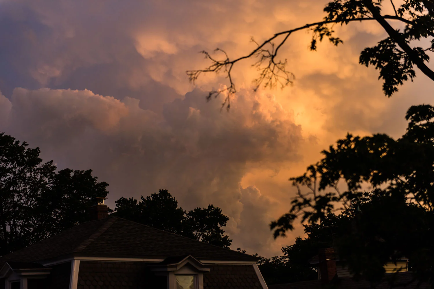 Wholehearted | Woohoo, We're Moving! / Eeeek, We're Moving...