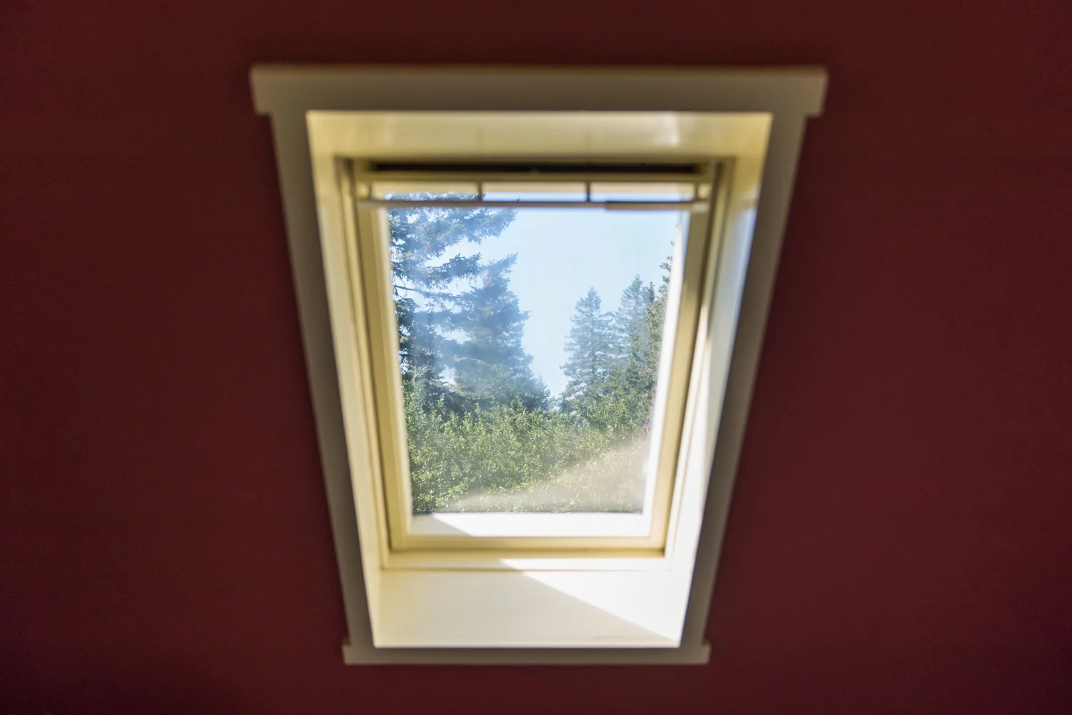 Work-Life Balance | Information Overload