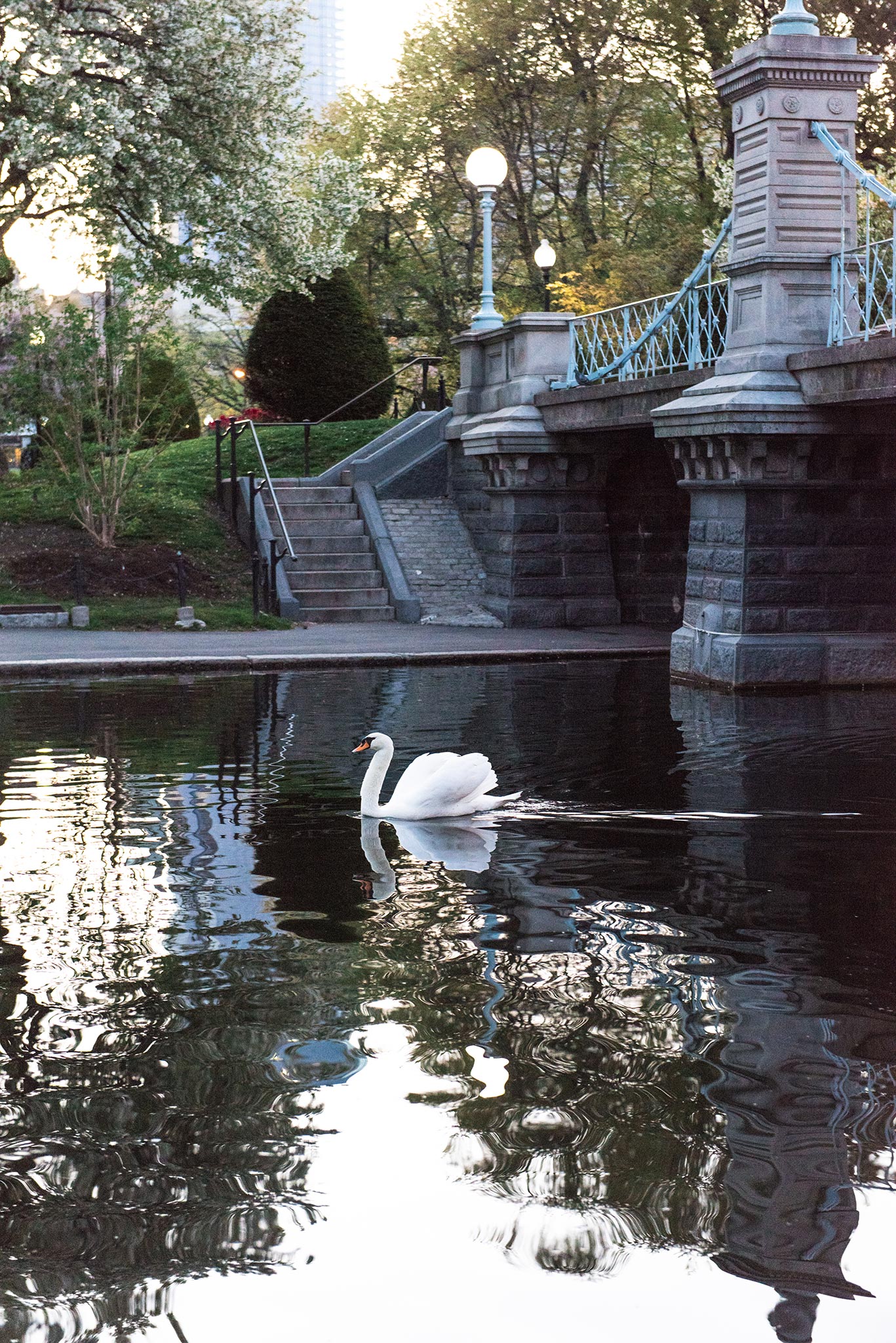 Classic + Modern Boston Public Garden, Beacon Hill, and Downtown Coffee Shop Sunrise Engagement Session | Jessica and Thomas | Lorna Stell | Photographer | Boston MA