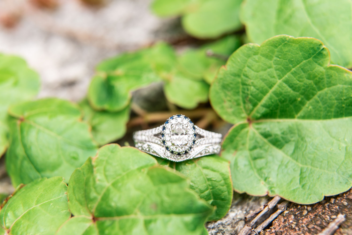 Olga + Albion | Whimsical Quincy City Hall Summer Wedding | Boston and New England Wedding Photography | Lorna Stell Photo