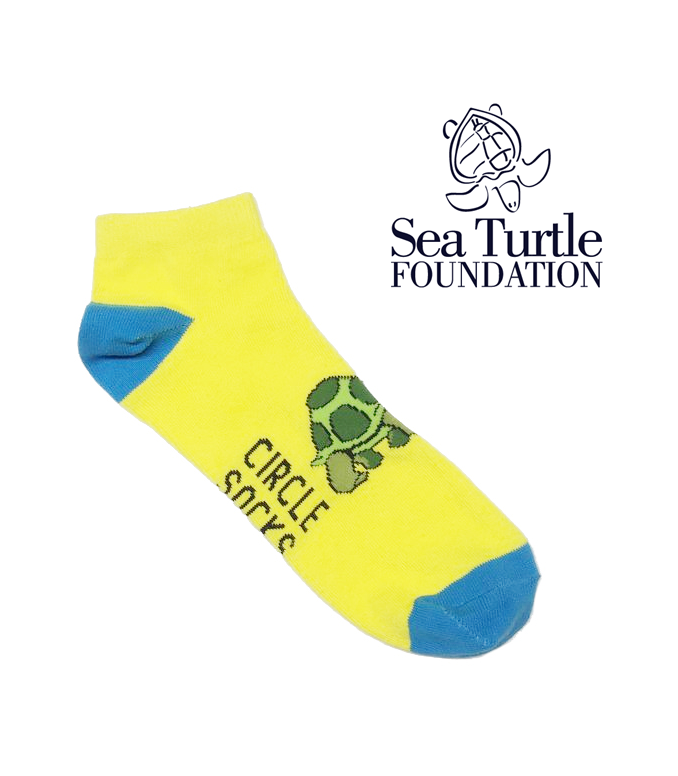 I like Turtles! 6.2 Sea Turtle Foundation.png
