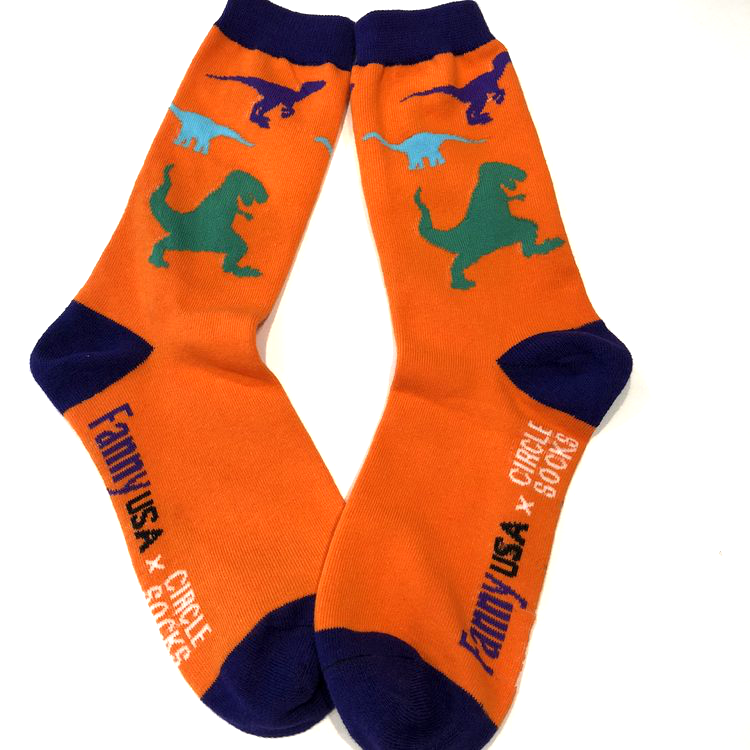 Dinosaur Socks 2.png