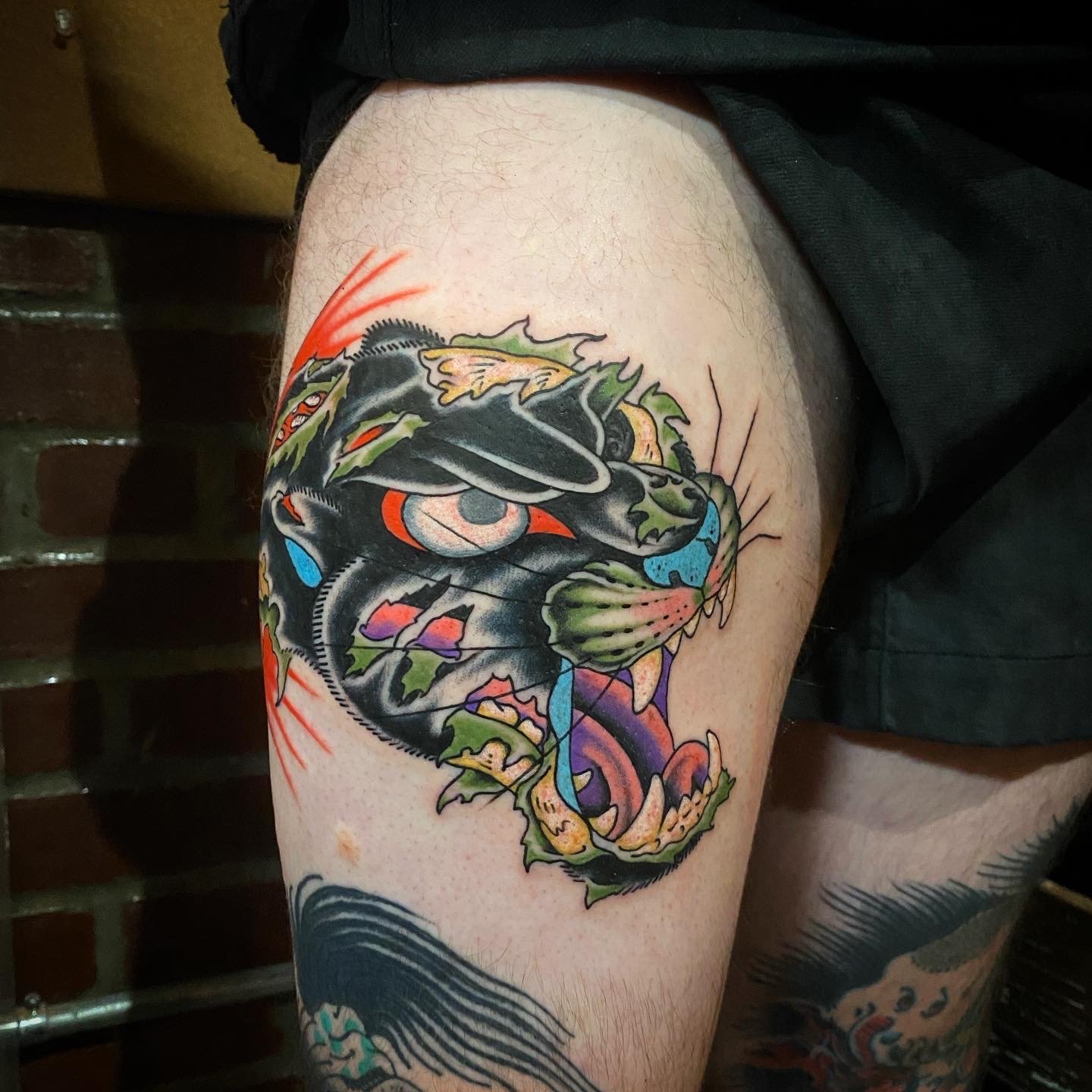 Bob Jones on Twitter Won tattoo of the day again On Sunday at the  Pacific Northwest Tattoo Expo with this Kappa n pickle gap filler Only  took me an hr and a