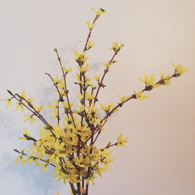 Give me all the forsythia. And the daffodils, too.