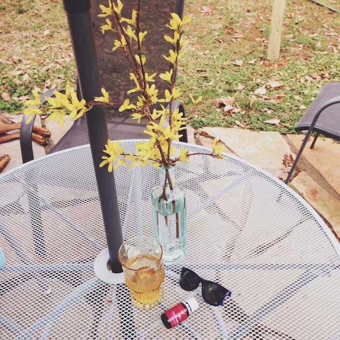 Diluted purification oil rubbed on our arms and legs because the mosquitoes were already on the prowl. DIY natural repellent recipe coming soon!