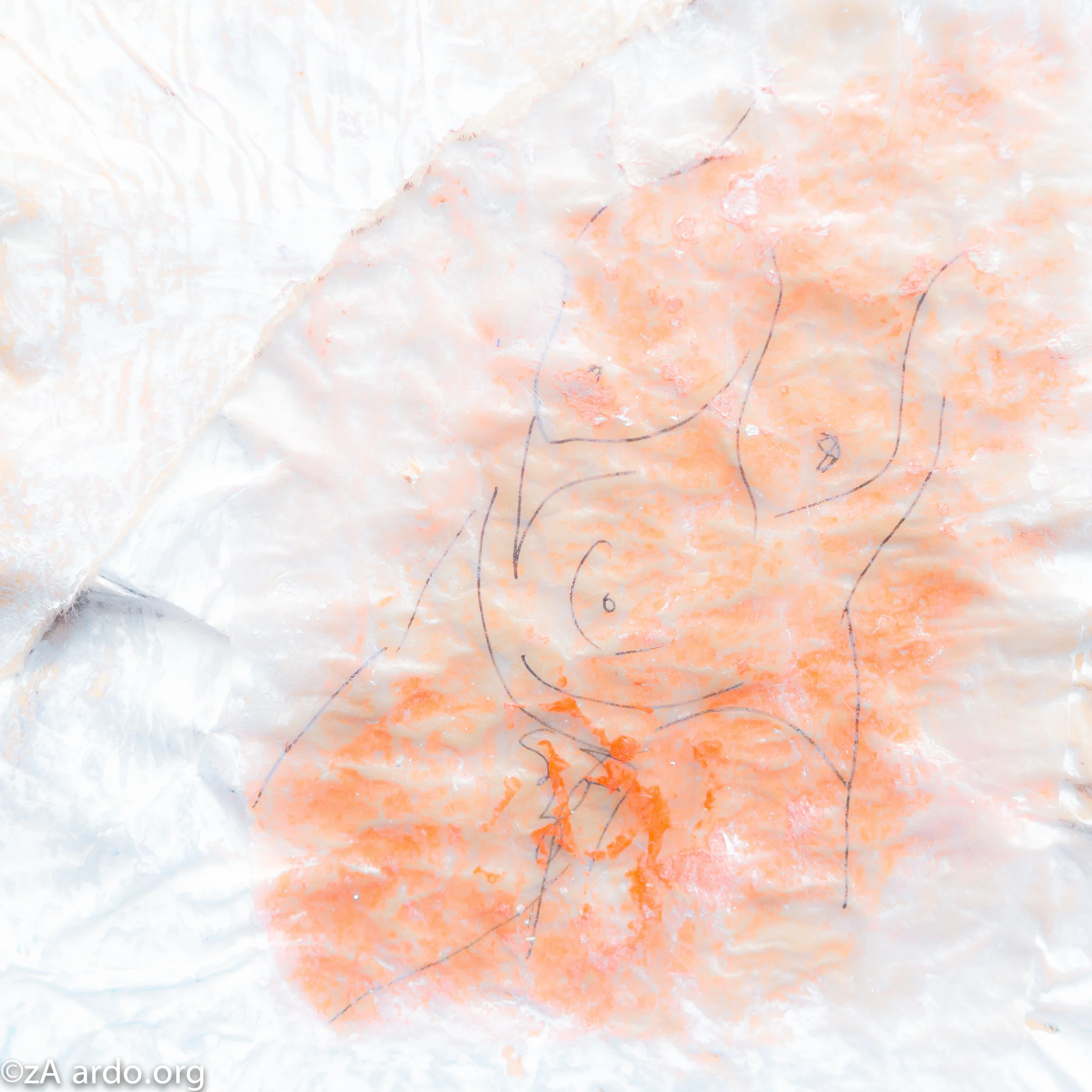 Nude Imprints©zARDO-15.jpg