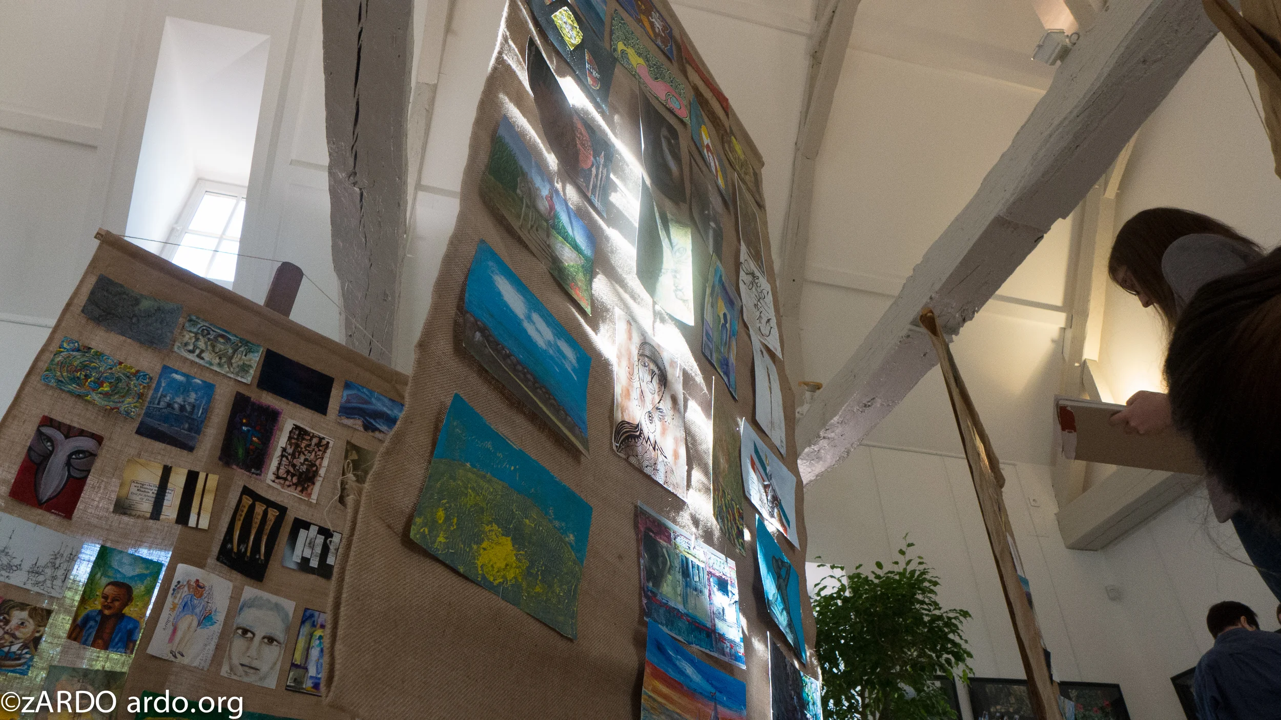 AEA E and pbeng Bellerive Boz'Art May 2015©zARDO-38.jpg