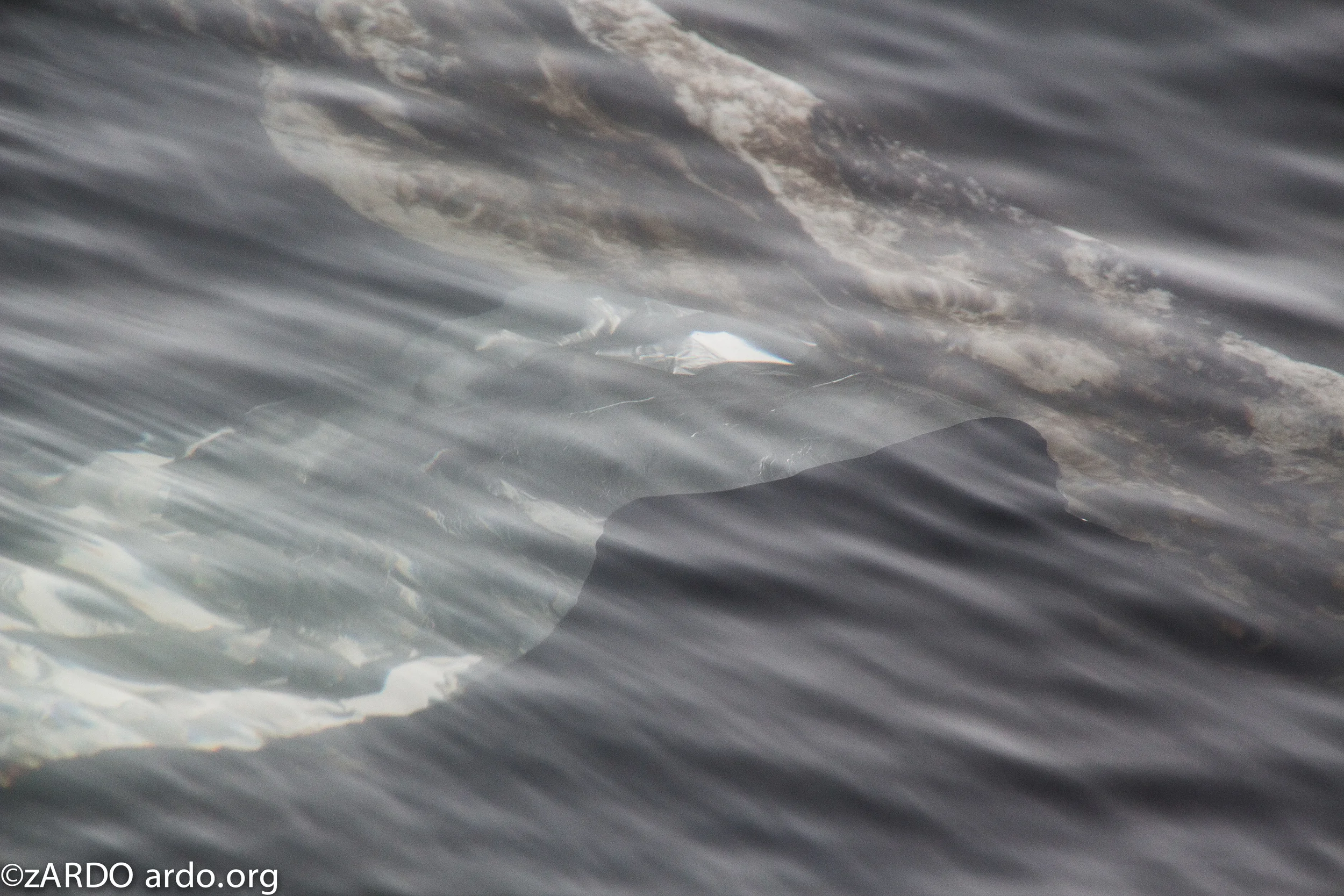 AC Arctic stories No 1 The calving 2015©zARDO-30.jpg