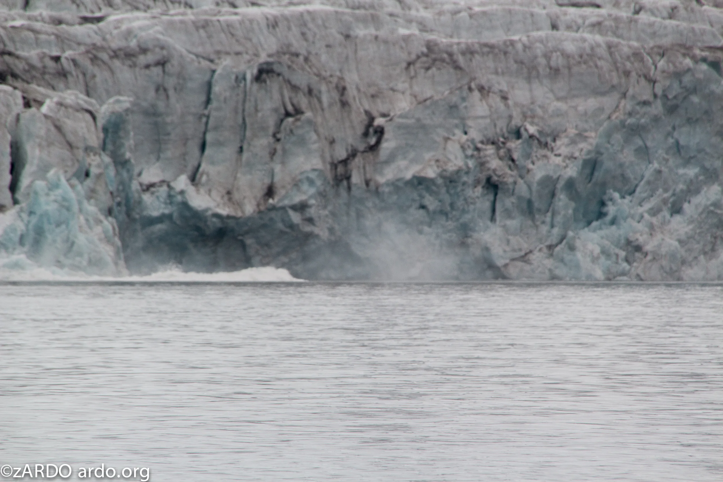 AC Arctic stories No 1 The calving 2015©zARDO-24.jpg