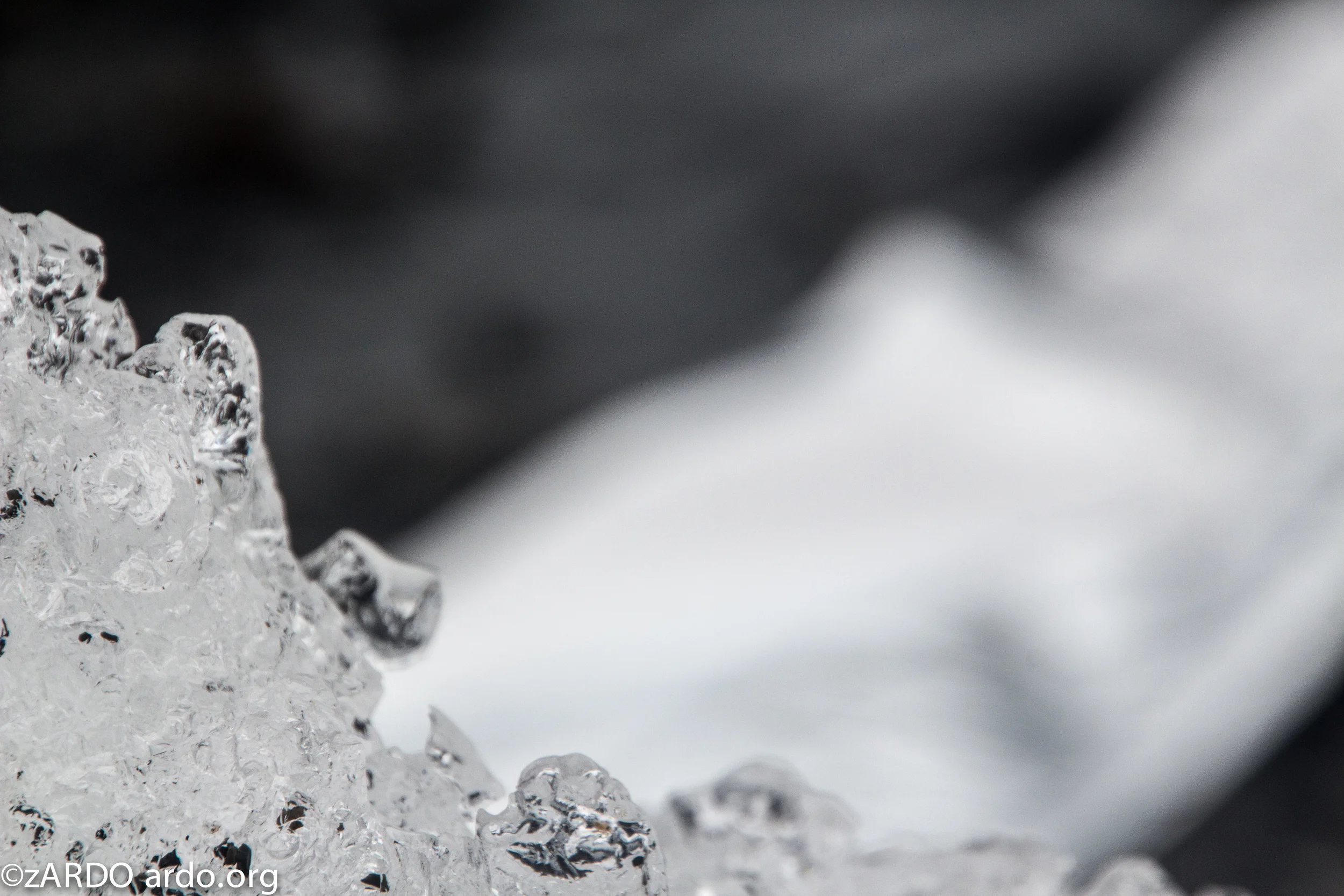 AC Arctic stories No 1 The calving 2015©zARDO-21.jpg