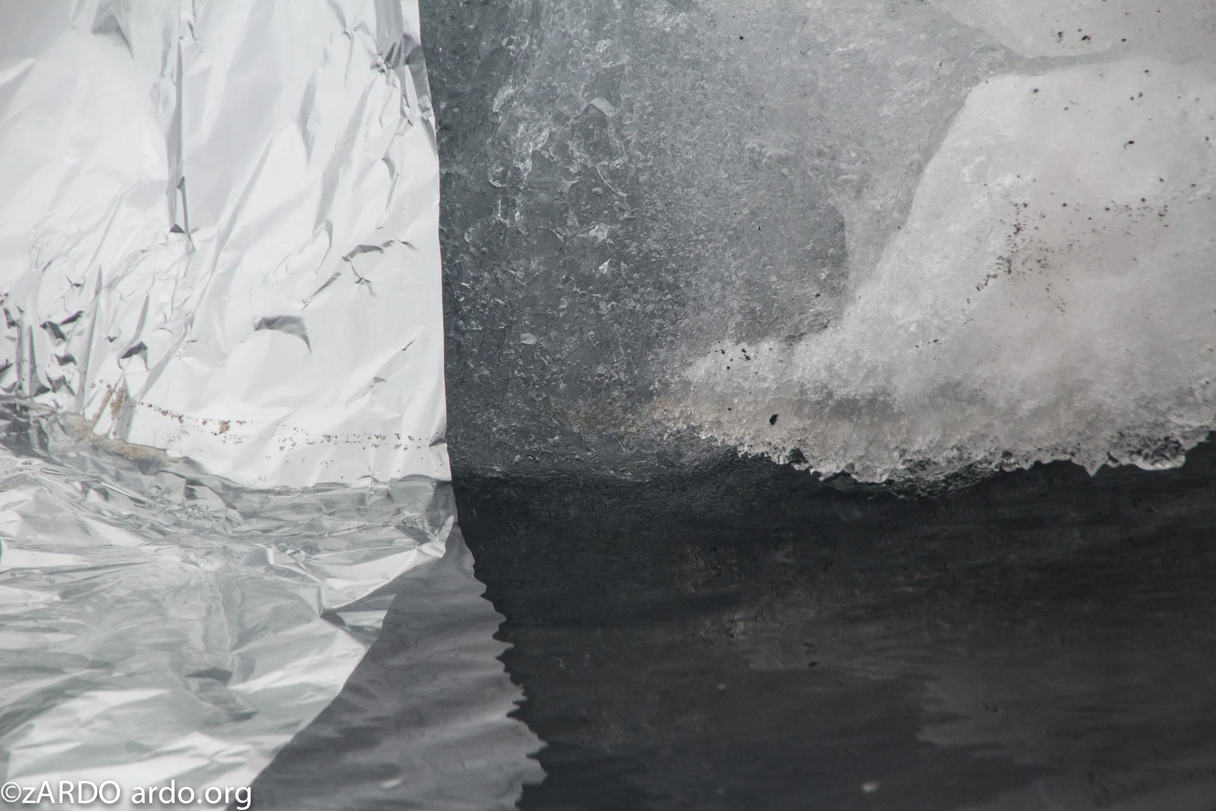 AC Arctic stories No 1 The calving 2015©zARDO-19.jpg