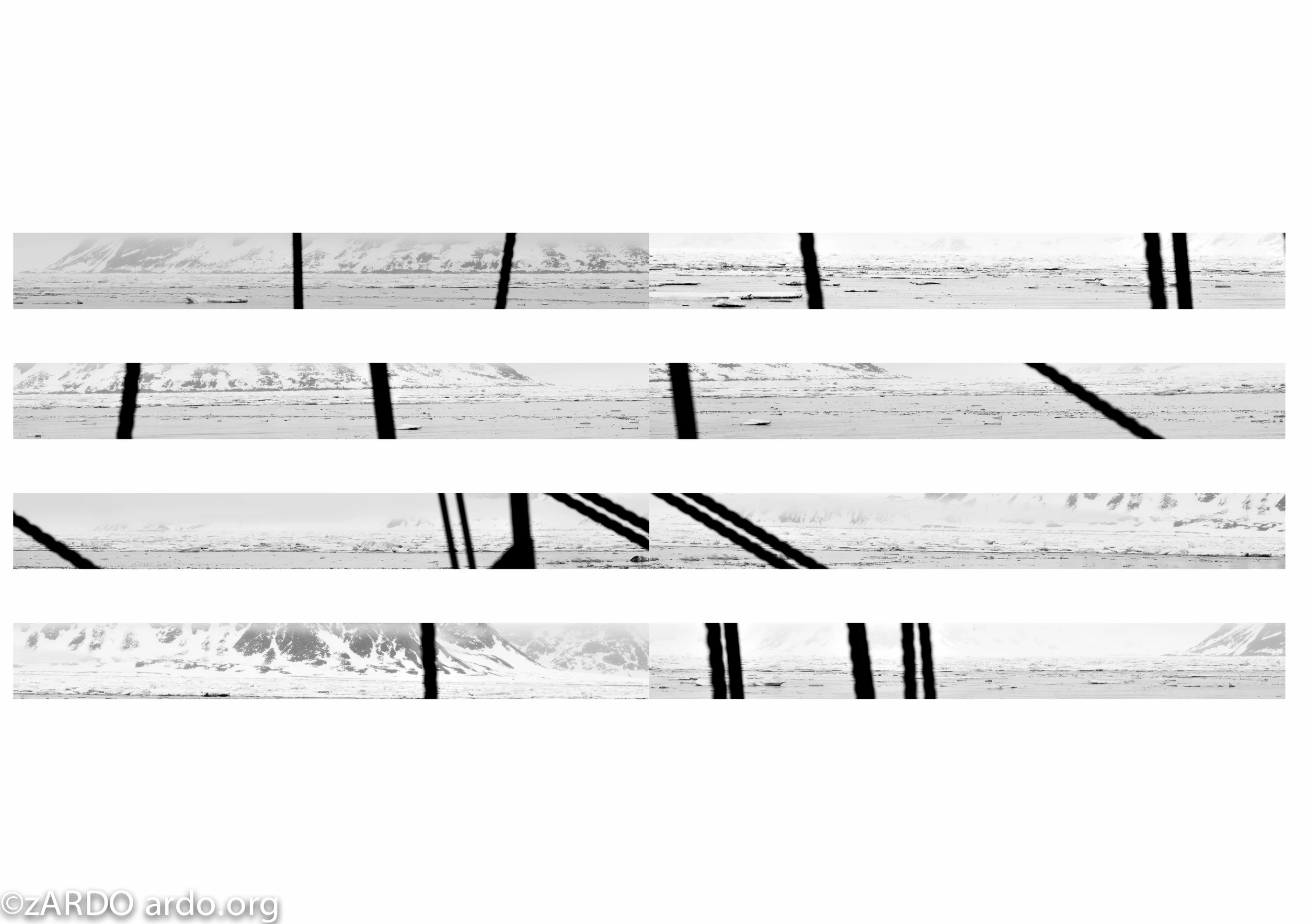 AC Arctic Abstracts 2015©zARDO-21.jpg
