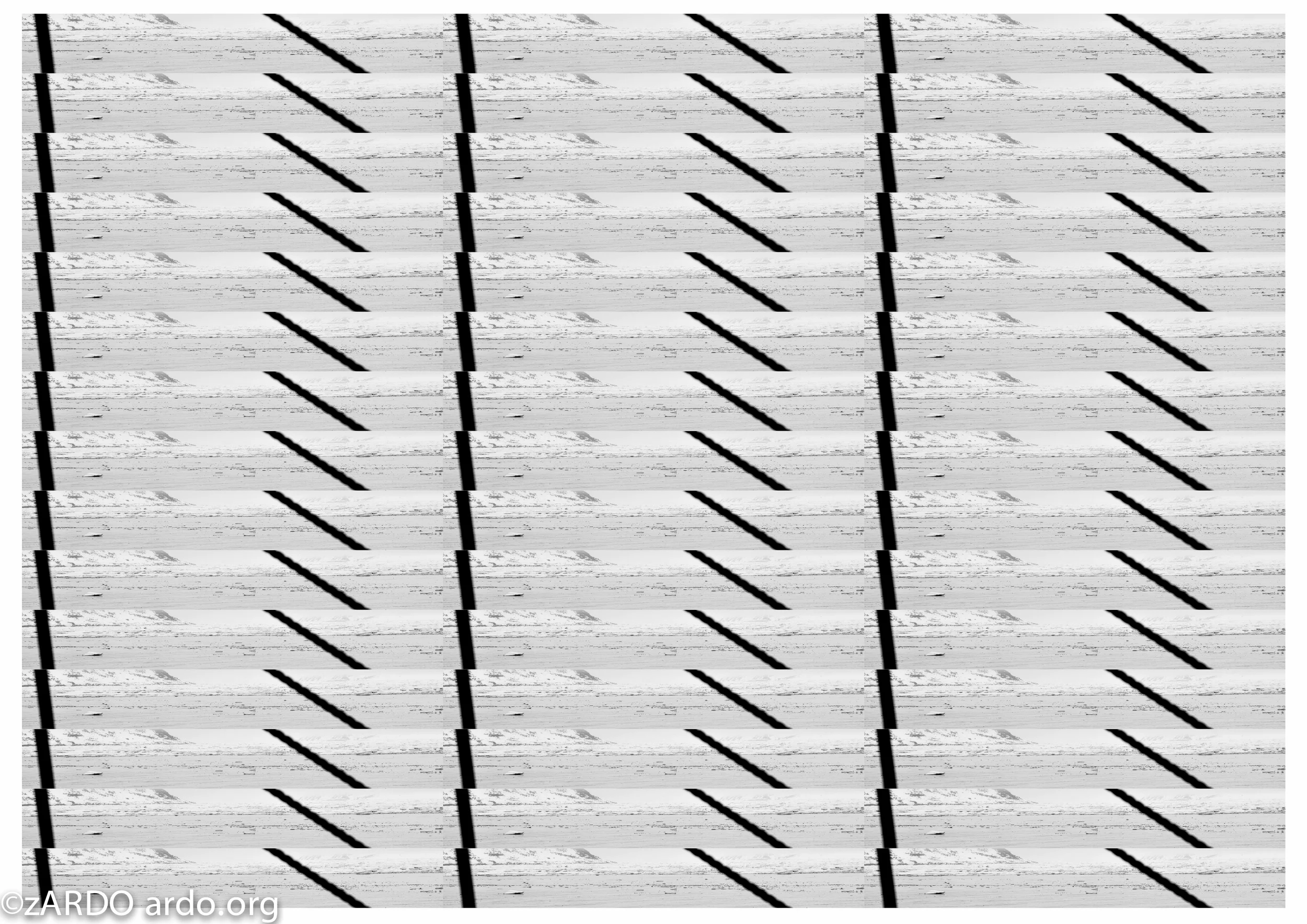 AC Arctic Abstracts 2015©zARDO-22.jpg