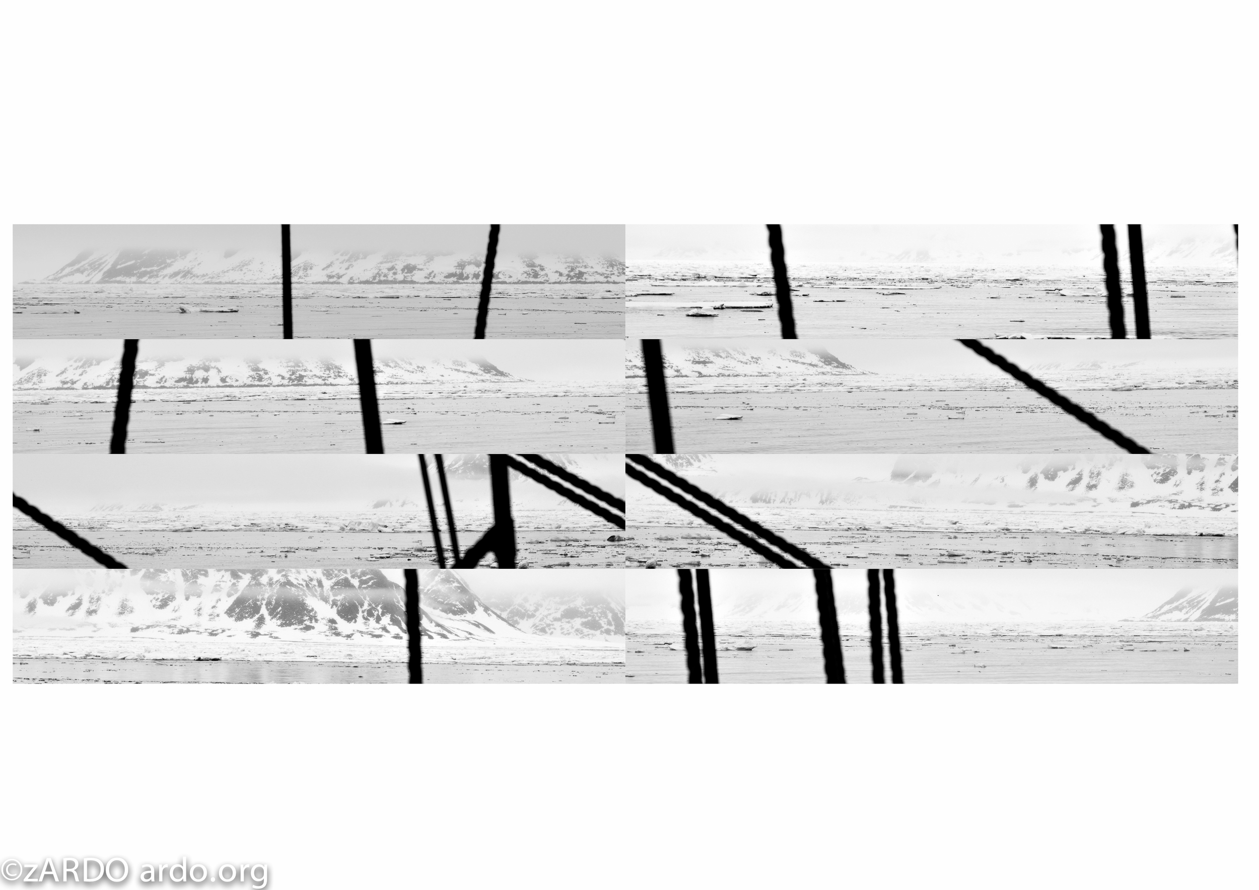 AC Arctic Abstracts 2015©zARDO-20.jpg